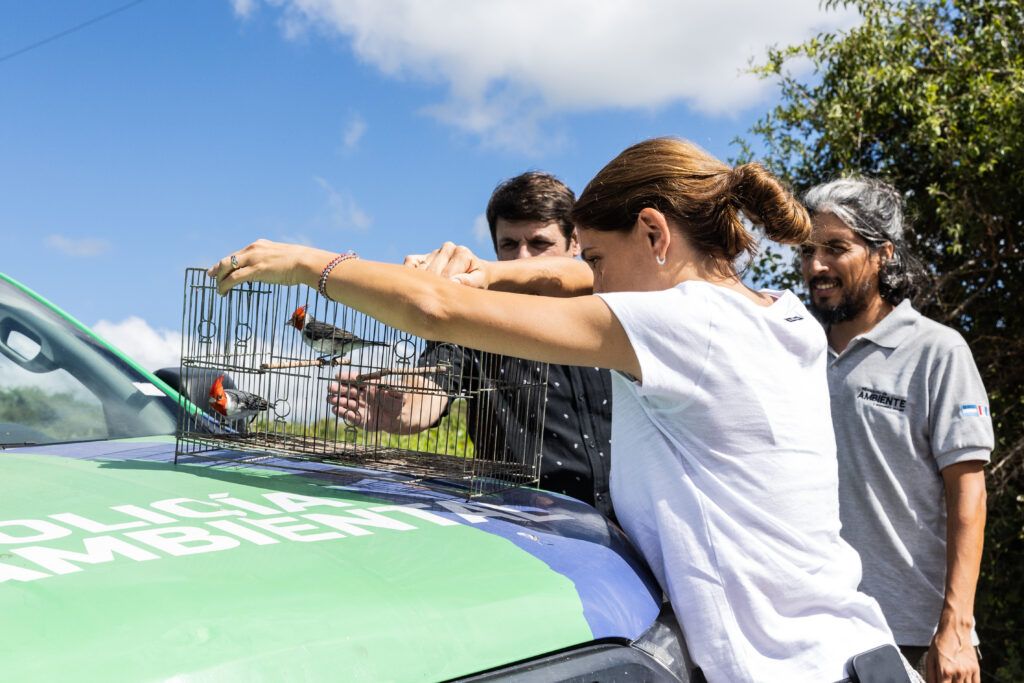 policía ambiental