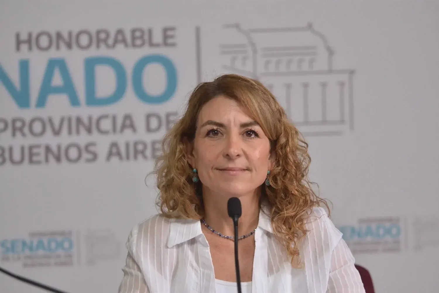 Discapacidad: el Senado bonaerense aprobó un proyecto para crear espacios de higiene y cambio