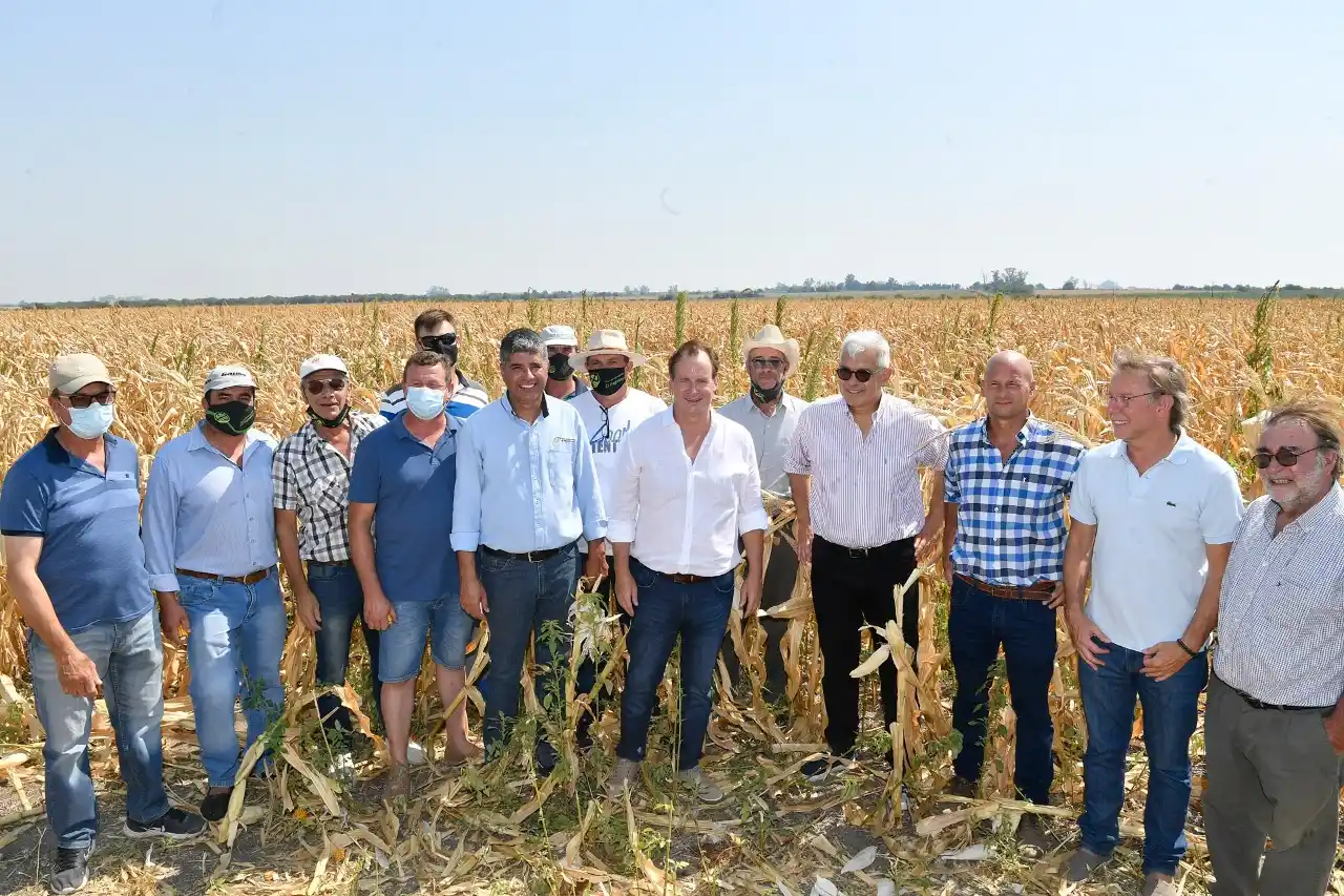 Fue declarada la emergencia agropecuaria en Entre Ríos