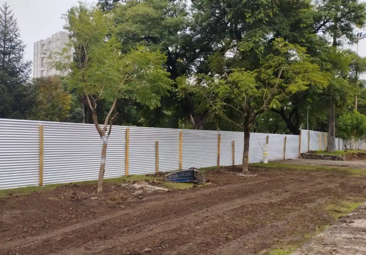 Se reubicaron tres árboles en la jornada.