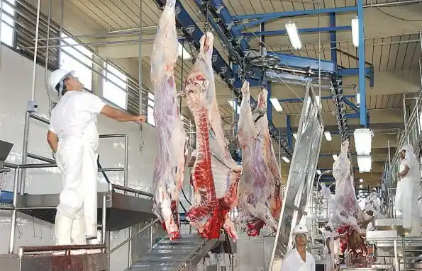 Cerró uno de los frigoríficos más grandes de la Provincia y peligran 300 puestos laborales 