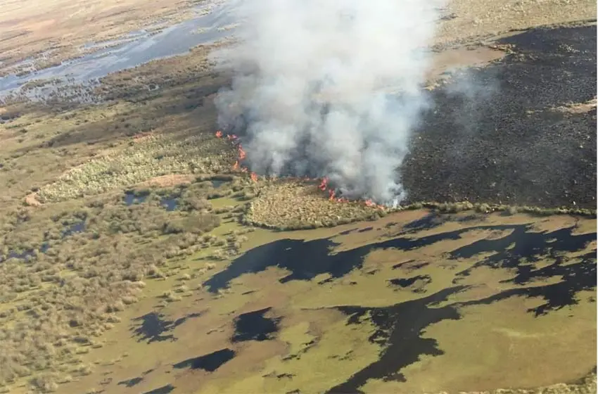 Desde Entre Ríos presentaron una denuncia penal por los incendios en las islas de Santa Fe