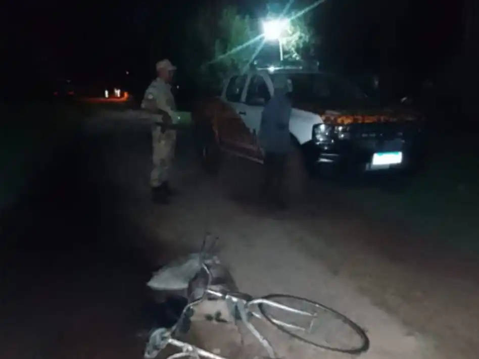 Recuperan tres lechones robados: el ladrón fue detenido