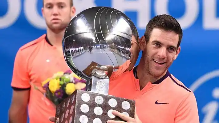 Del Potro volvió a gritar campeón después de más de dos años