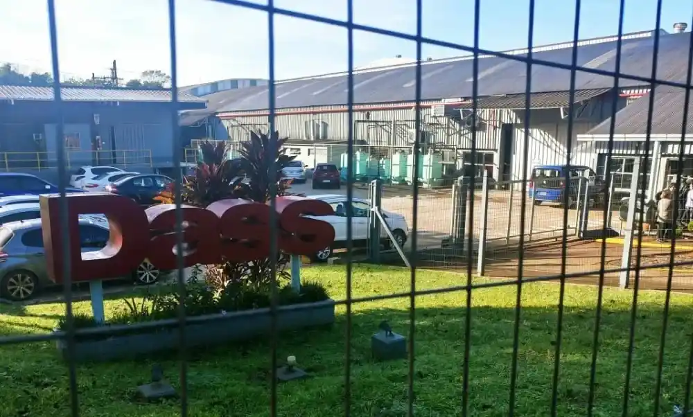 Misiones: Grupo Dass cerrará su última planta en Argentina y deja 150 trabajadores en la calle