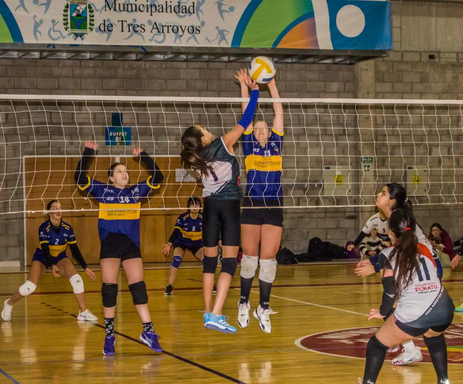 Se conocieron los campeones del vóley femenino de inferiores