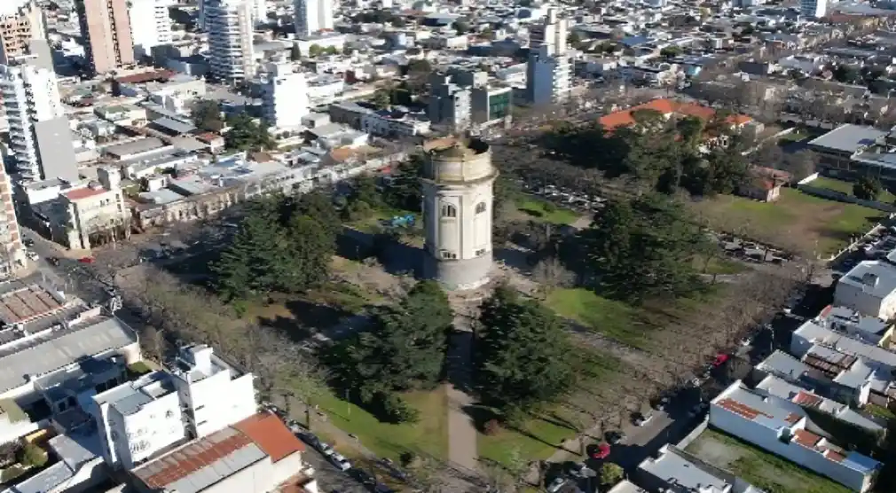 arboles sabias que - 2