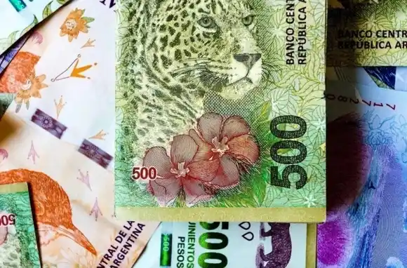 Discapacidad visual: piden rediseñar los billetes para que puedan identificarse al tacto