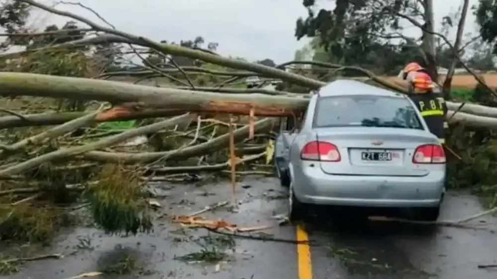 El acto impactado contra un árbol sobre la Ruta 74.