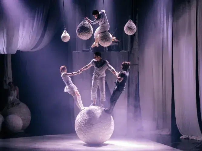 Cirkus Cirkör