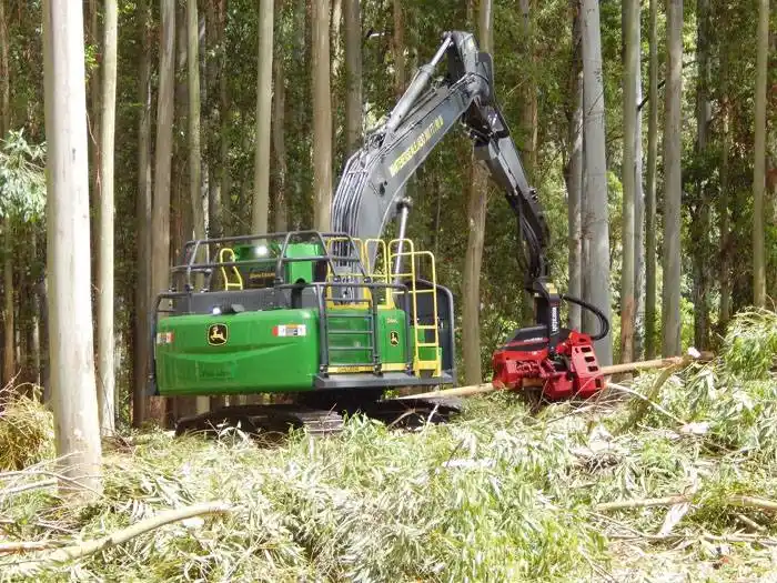 La certificación forestal: Trabajar como se debe