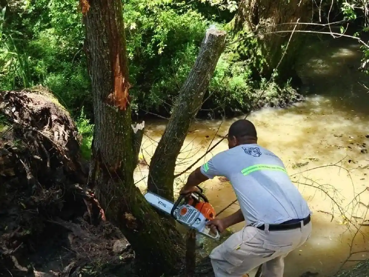 Continúan los trabajos de reparación de muelles públicos y destronque en el Delta de Tigre