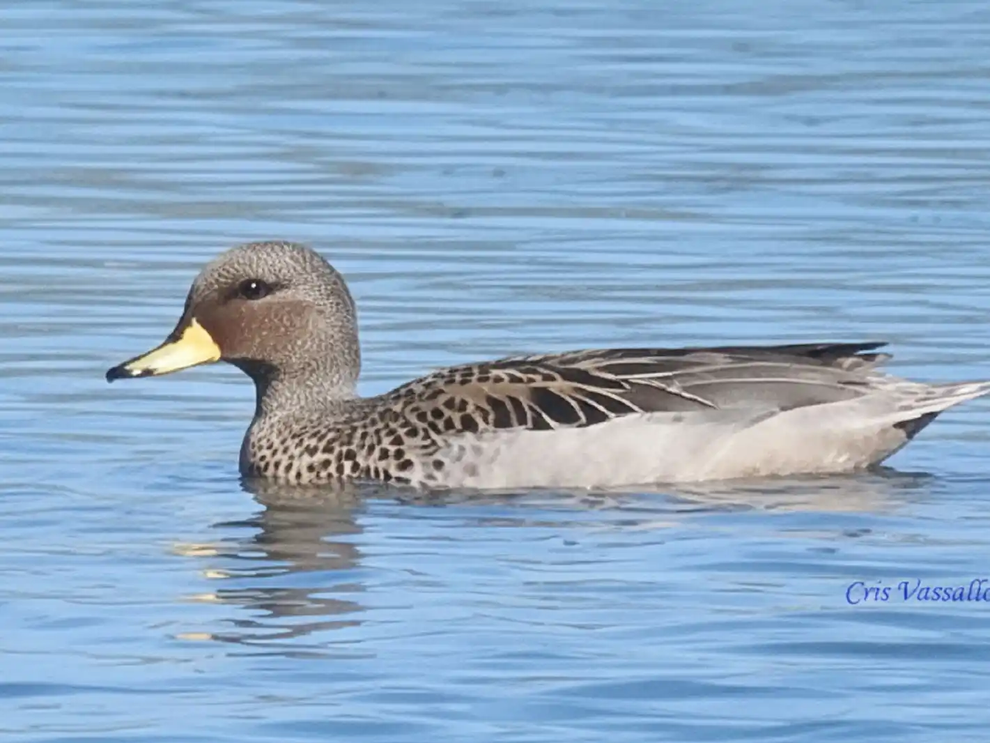 Habitantes de humedales del departamento Concordia