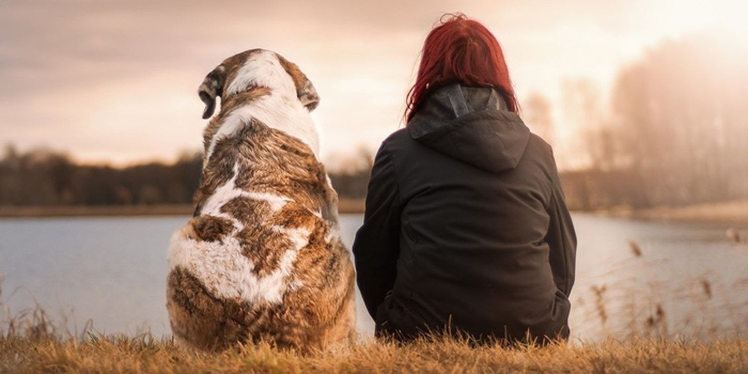 El perro, ¿es el mejor  amigo del hombre?