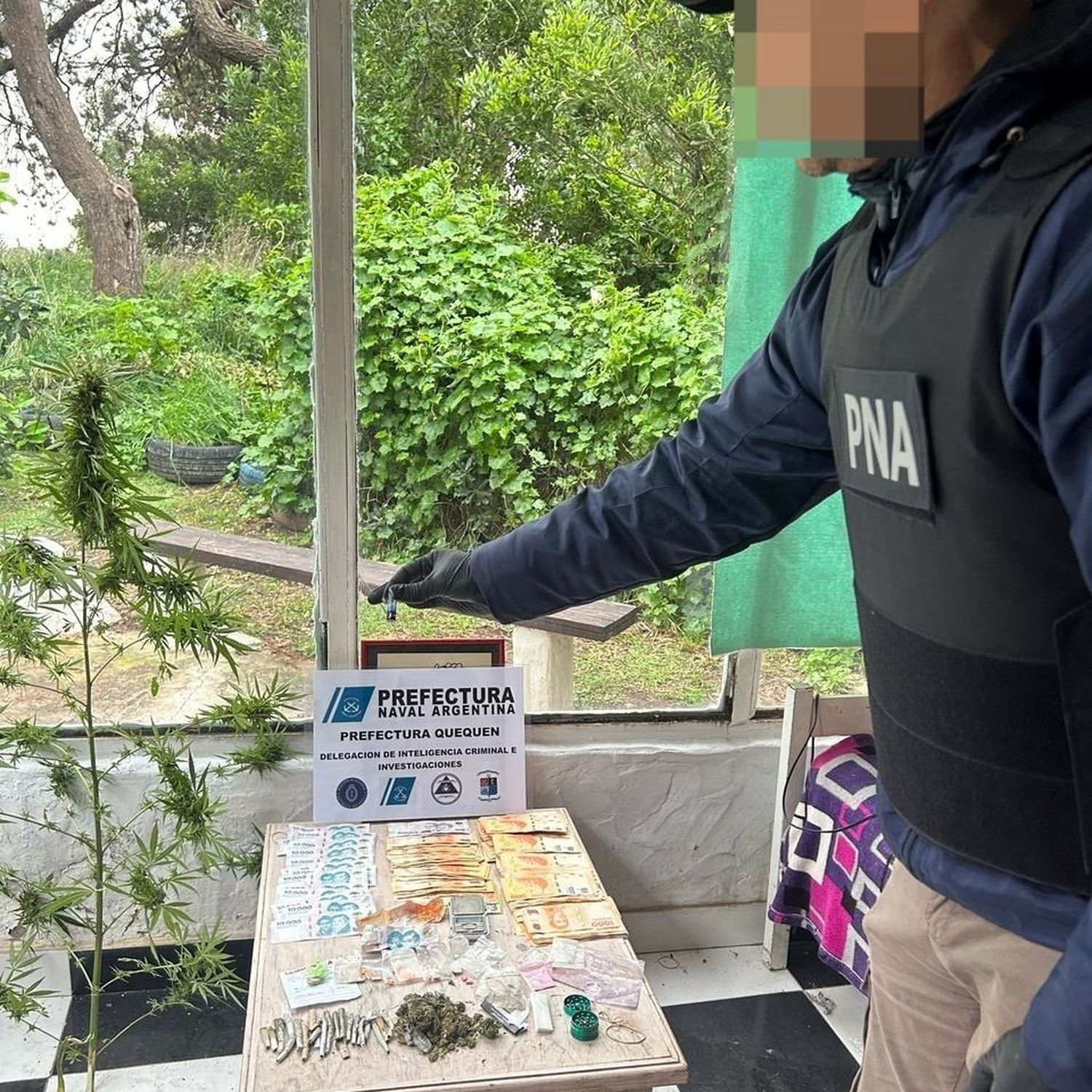Drogas de todo tipo y dinero hallado en el inmueble de calle 50 al 5500