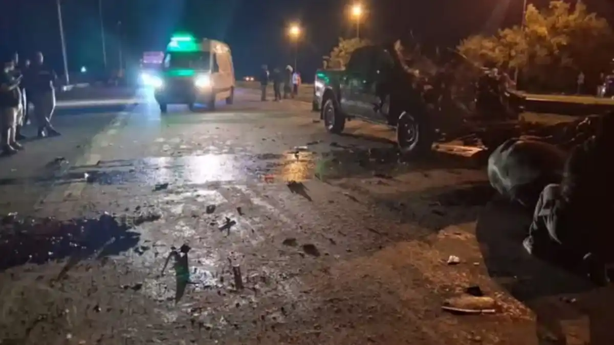 Tragedia en Ruta 6: una tropilla de caballos desató una estampida mortal