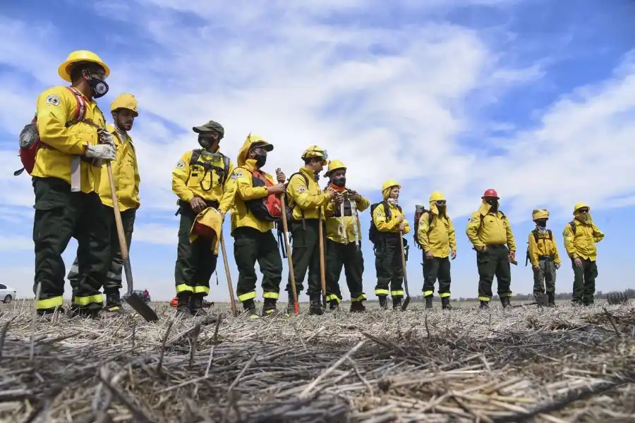 Lewandowski presentó un proyecto para reconocer a los brigadistas que integran el Sistema Federal del Manejo del Fuego