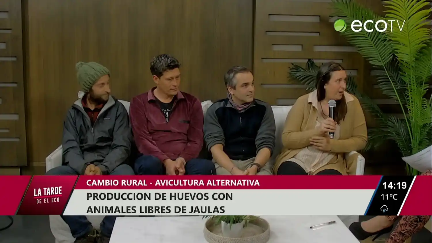 Producción de huevos con animales libres de jaulas
