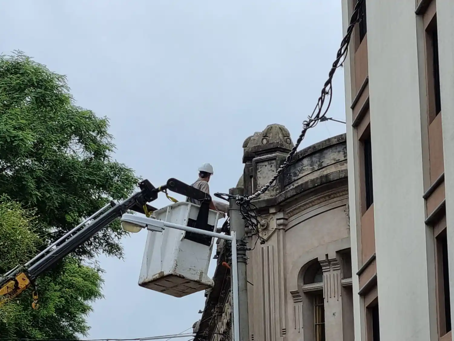 Personal de Coopser en plena tarea.