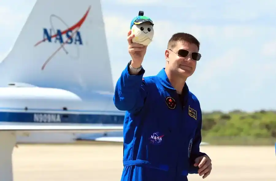 La mascota de Artemis ll