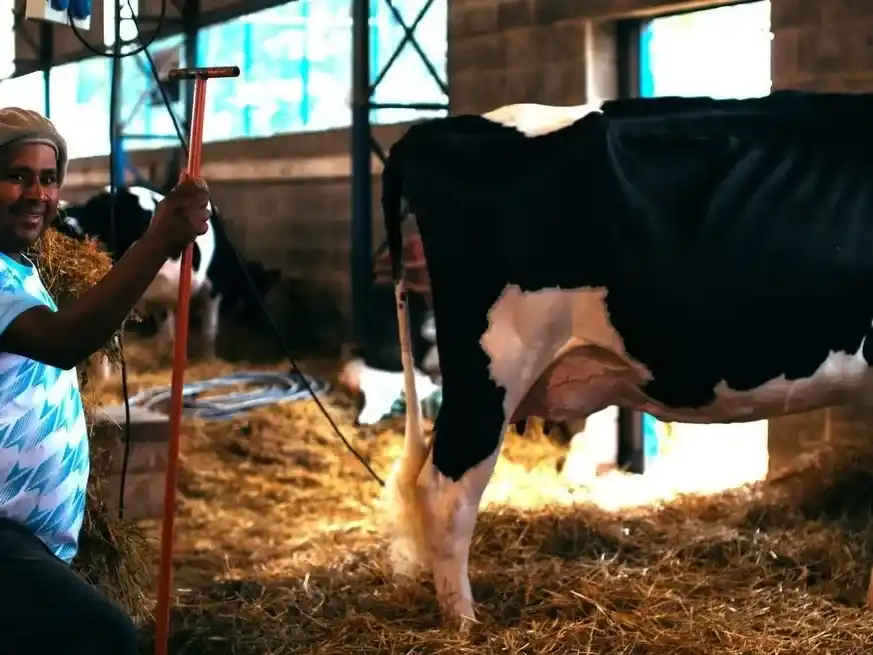 La Exposición y Jura Holando Argentino será también uno de los atractivos. Foto: Campolitoral