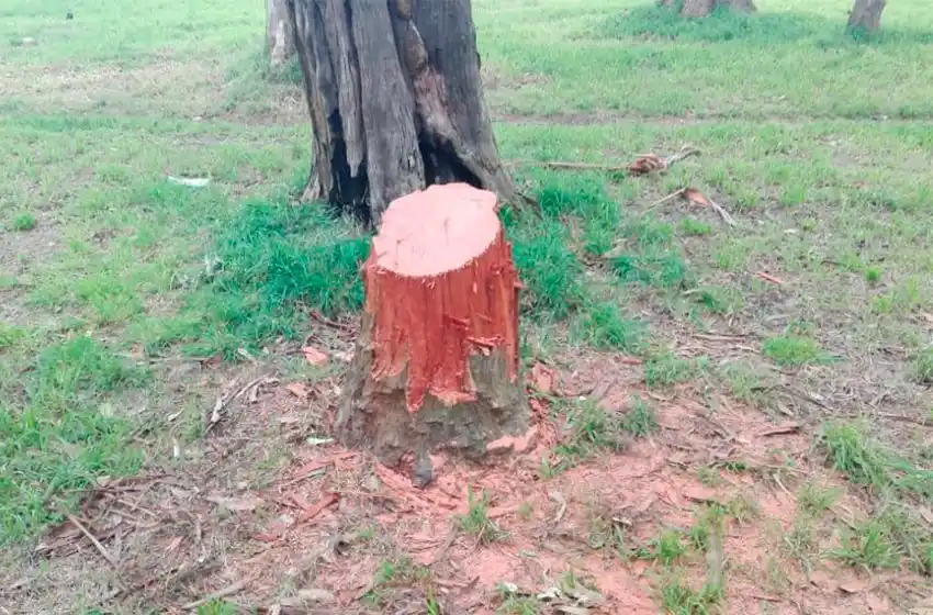 "El Municipio no tiene que pensar que el Parque Camet es un lugar para clubes privados"