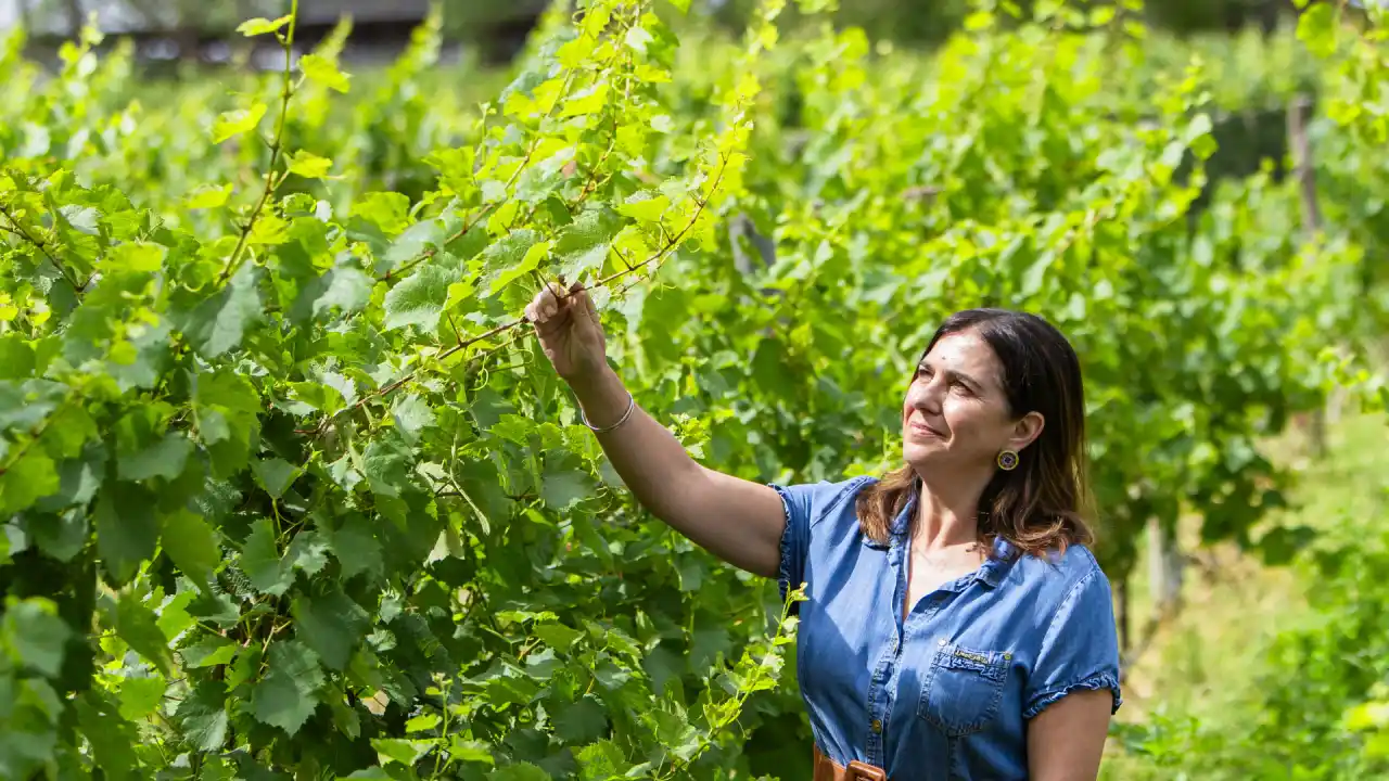 Anne Bosuquet, CEO francesa