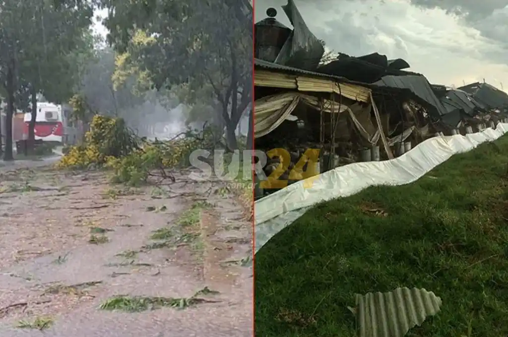 Video: terrible temporal causó daños en distintas zonas de Entre Ríos 