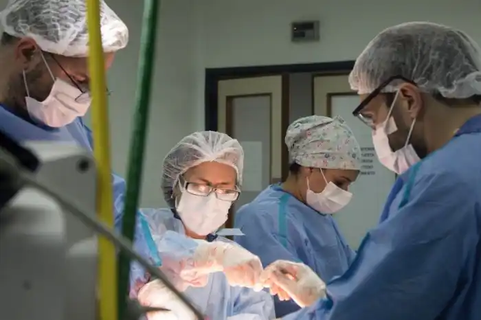 Profesionales de la salud durante un procedimiento de ablación de órganos en un hospital bonaerense, clave para el récord histórico de donación.