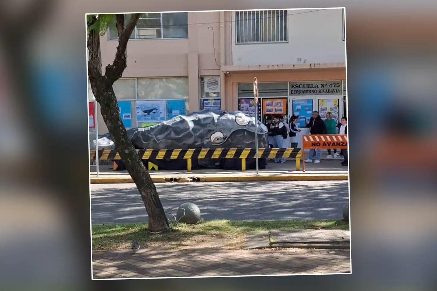 ballena escuela rivadavia