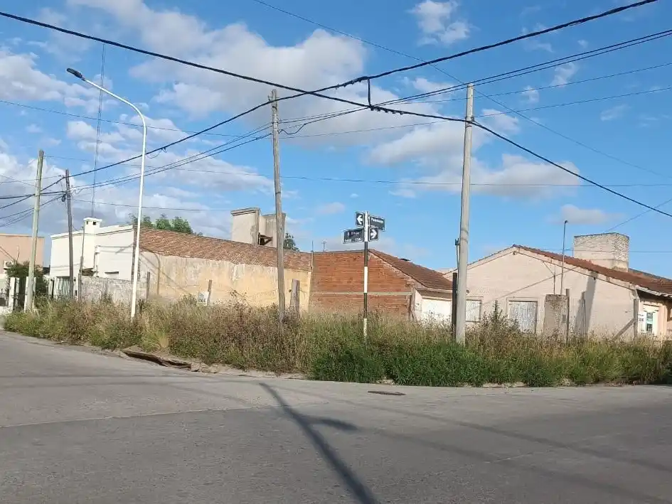 Pastizales aumentan el riesgo vial