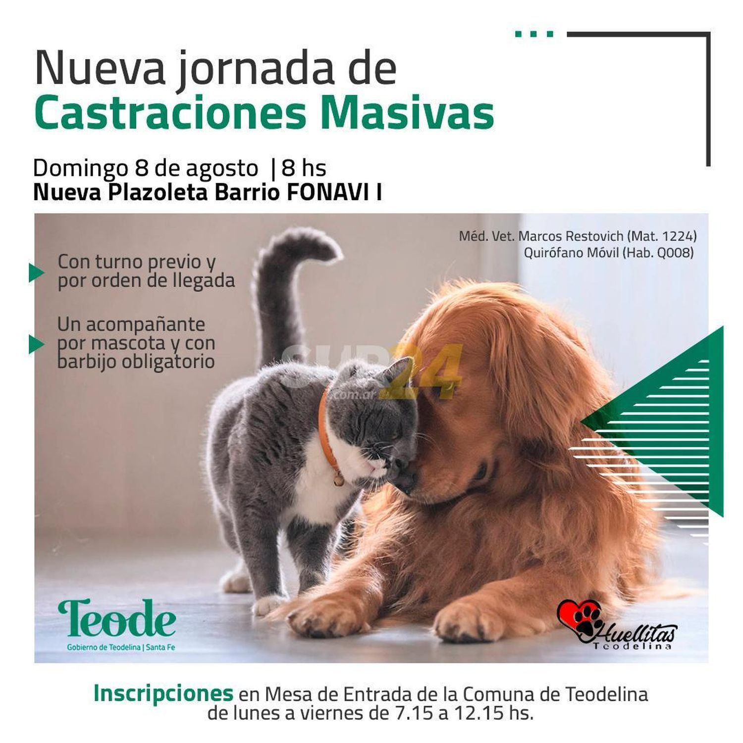 Jornada de castraciones masivas en Teodelina     