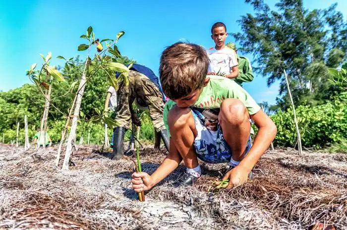El cambio climático: ¿se pasará a la acción?  Territorio inexplorado