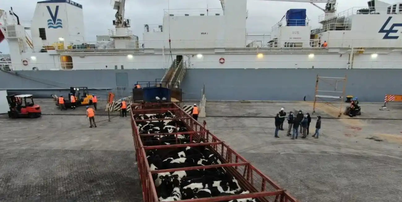 El decreto de Milei y Caputo deja sin efecto una medida que fue tomada por una situación puntual en 1973.