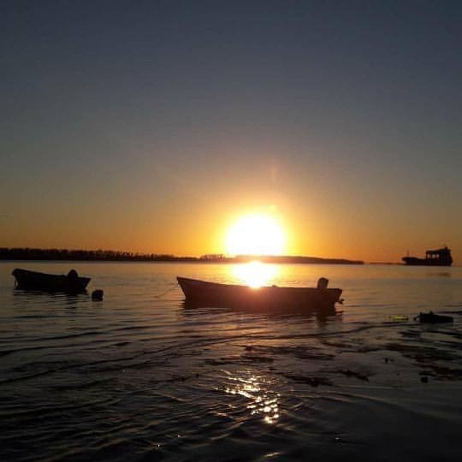 Detectan incremento de algunas especies en el río Paraná