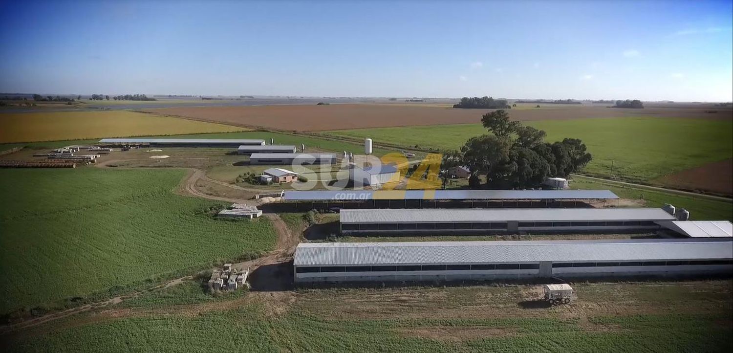 Fumisem se consolida como la mejor granja porcina del país