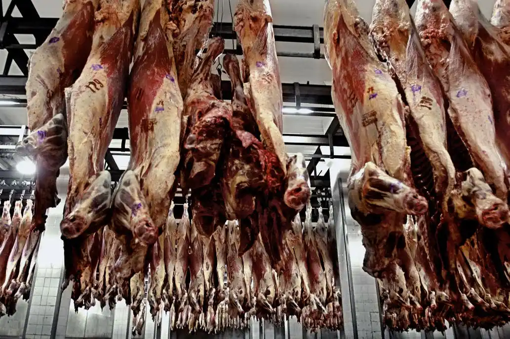 Cómo es el plan del Gobierno para que haya “carne barata” en las fiestas