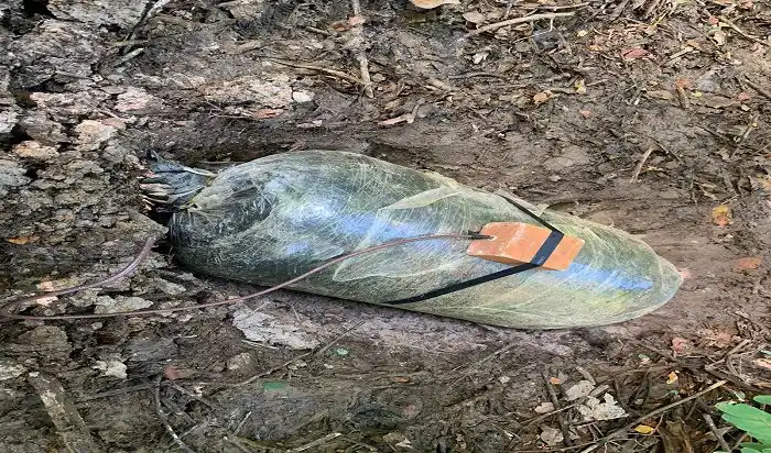 Ejército colombiano frustra otro atentado con artefacto explosivo en el Arauca