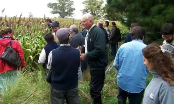 Reconocimiento a campo de Benito Juárez donde se produce sin agrotóxicos