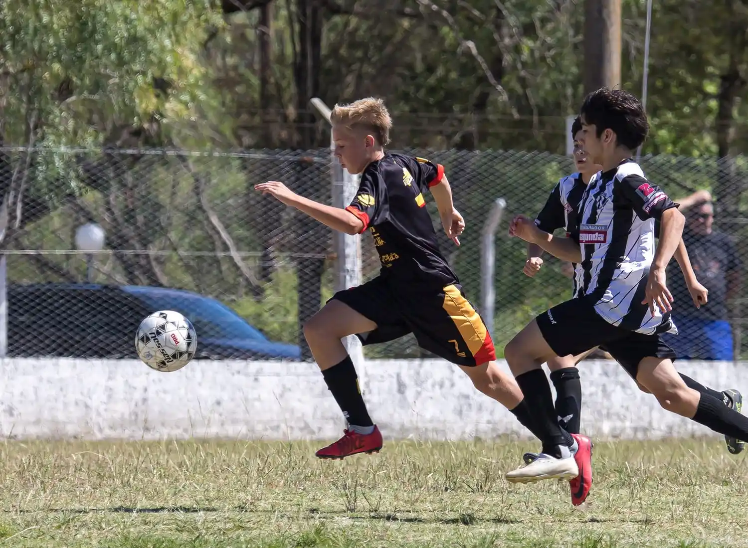 San Lorenzo probará jugadores juveniles en Libertador San Martín