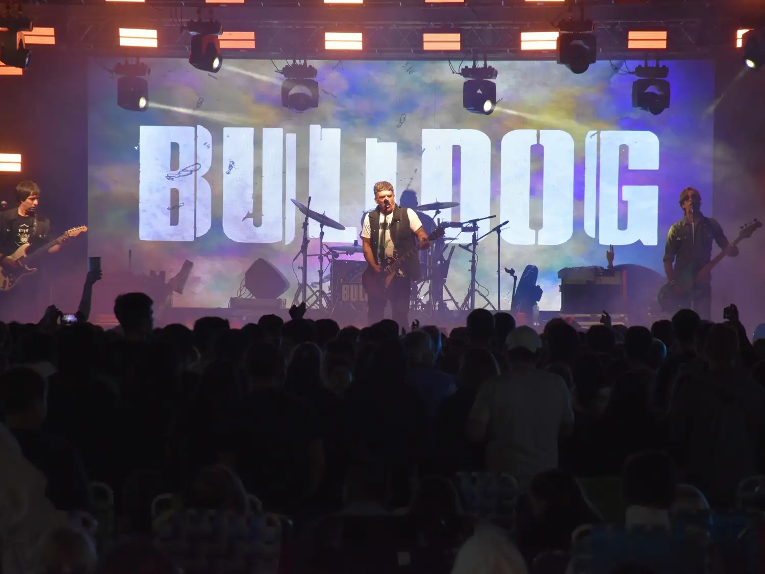Bulldog