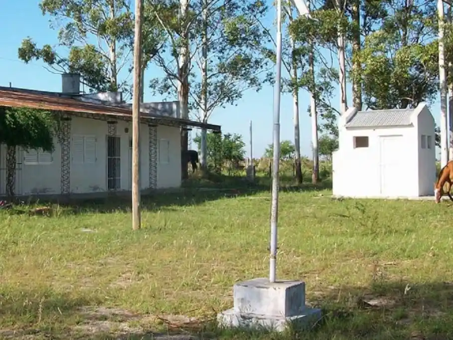 El 75% de los estudiantes de zonas rurales no alcanza los niveles mínimos de competencia en lectura y ciencias