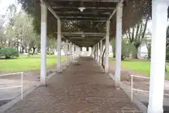 Coronavirus: 4 nuevos positivos en Gualeguay