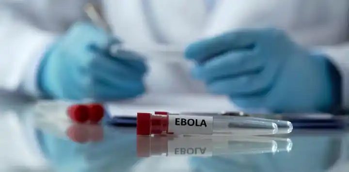 Ébola: denuncian que en el Congo exigen favores sexuales a cambio de la vacuna