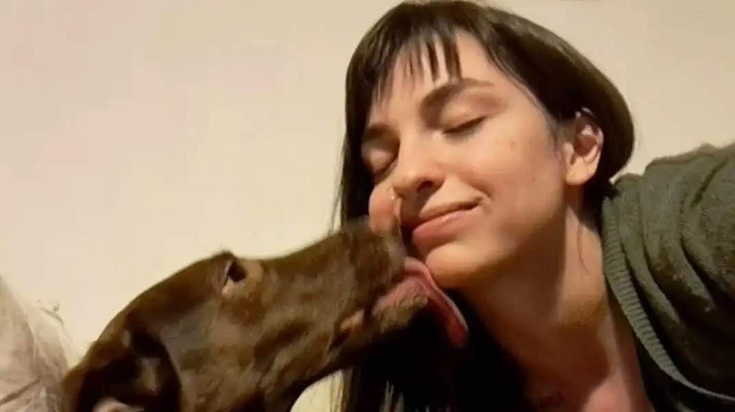 Se fue de viaje, dejó a su perra en la guardería y se escapó: la odisea que vivió para encontrarla