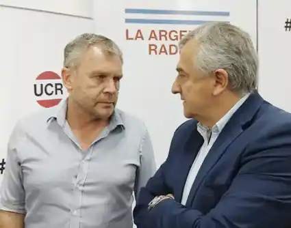 “Sus ambiciones derrumbaron lo que podía haber sido un renacimiento de la UCR”