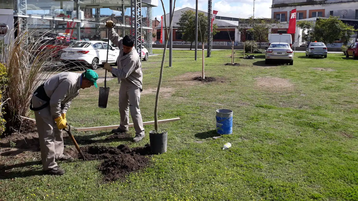 El Puerto de Santa Fe incorporó 272 árboles en su jurisdicción