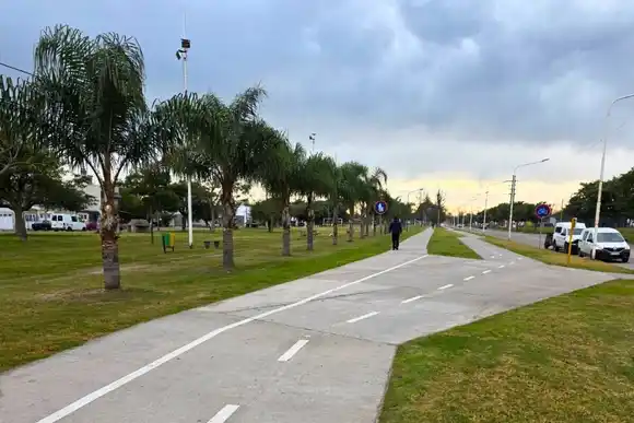 Operativo: mantenimiento de árboles en la ciclovía del 17 de Octubre