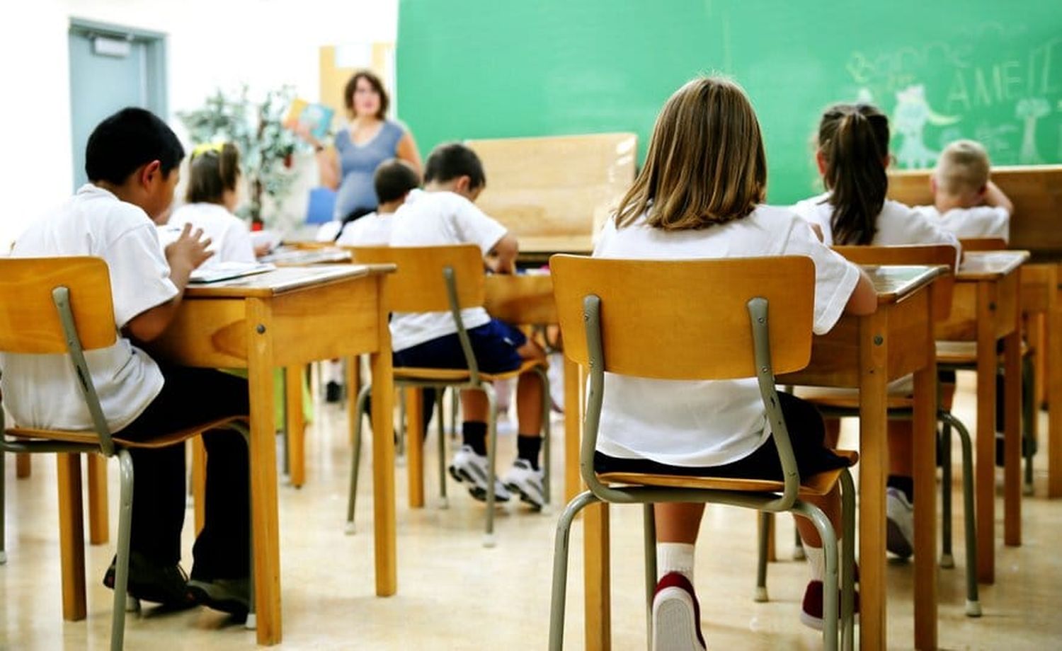 Trotta: "Por el momento no es necesaria la suspensión de las clases"