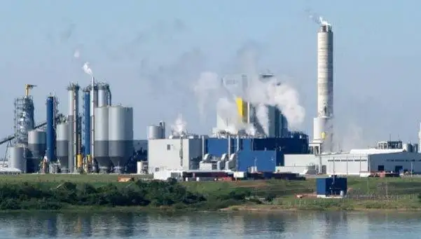 El monitoreo reveló que la ex Botnia contaminó el Río Uruguay